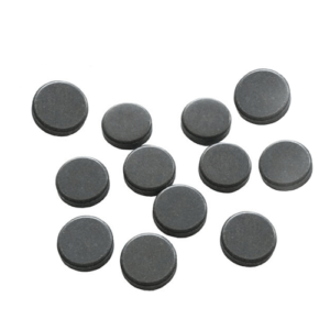 Parylene Coated Magnets 