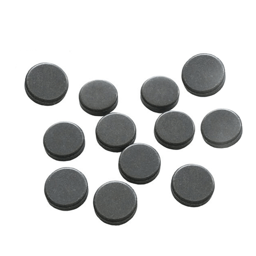 Parylene Coated Magnets
