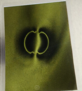 Yellow Magnetic Field Viewing Film